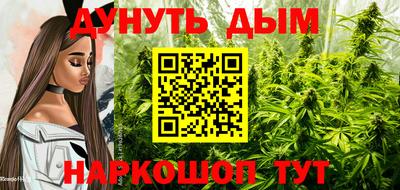 амф Коммунар