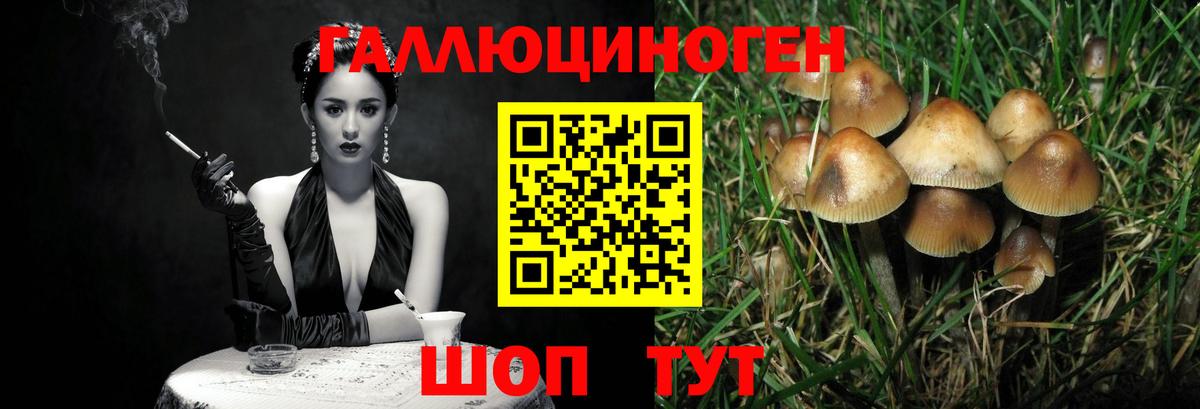 Ивантеевка  Псилоцибиновые грибы Magic Shrooms  Вход с VPN 